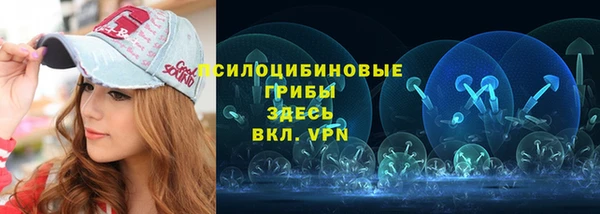 стаф Белая Холуница