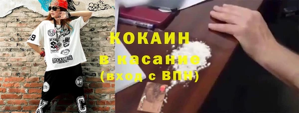 гашик Арсеньев