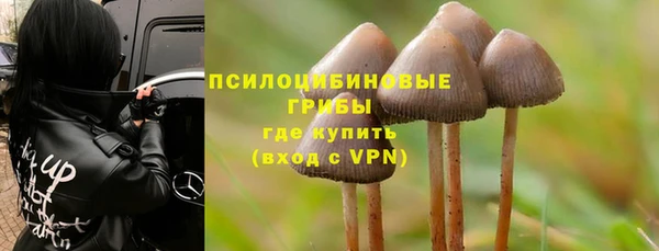 гашик Арсеньев
