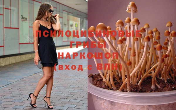 прущая мука Баксан