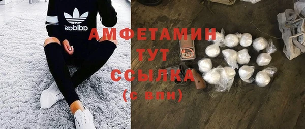 шишки Армянск