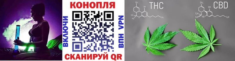 МЕГА рабочий сайт Бодайбо Бошки марихуана Amnesia где найти наркотики